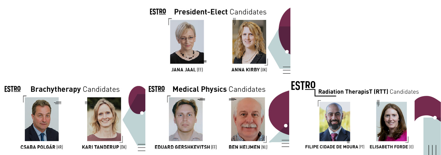 Estro About Estro